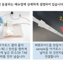 봄내중학교 이미지