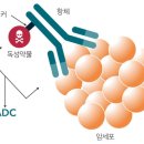 유방암 중에 가장 무서운 삼중음성유방암 이미지