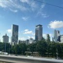 일상｜출산 휴가 전 마지막 출근, 6월 2주