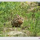 초곡2리마을회관 이미지