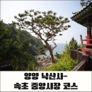 중앙회관자판기 | 강원도 양양 낙산사 꿈을 이루어지는 길에서 속초 중앙시장 필수 먹거리 포장까지