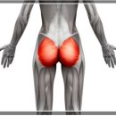 발리아쿠아랜드 이미지