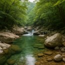 광덕계곡관광지 | 💎 한적해서 더 좋은 강원도 계곡 숨은 보석 TOP 5