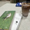 [운정스타필드] 스타필드 빌리지 운정점 책읽기 좋은 디저트 카페 | 내돈내산 후기 '인크커피 INC COFFEE'