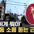 '악 이게 뭐야' ... 서울 성수동 소름 돋는 근황 이미지