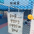 [캠핑 후기] 철원 밤개울 캠핑장 : 서울에서 2시간, 풍경👍, 놀이시설 충분, 타프존👍, 애견동반...