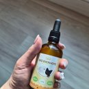 바이오큐 | 그레이스푸드랩 리브큐 바이오 비어헤페 펫 ㅣ 반려동물 영양제 추천 피모관리 + 장 건강 한번에!