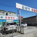 쥬라기동물병원 이미지