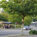 광덕공원 이미지