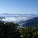 번암무룡고개로 이미지