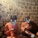 초광로 | 하남 주심유황참숯가마 추천 후기 및 매점메뉴 (숯가마, 노천탕 강추)