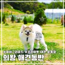 서울 근교 의왕 프라이빗 대관 애견 운동장 제이그라운드