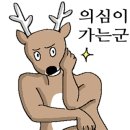 라르고빌리조트