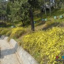 ♣ [베이징경산공원]천안문 자금성 후문 "경산공원" 이미지