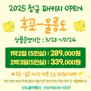 썬플라워3