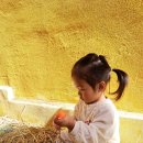 기쁨반 9월 5주 놀이이야기 -2 (볏짚놀이, 반딧불이숲체험장) 이미지