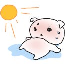 엘시티레지던스 더바인 해운대 이미지