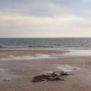 대천해수욕장 해동횟집 이미지