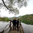 남이섬설리조트2 이미지