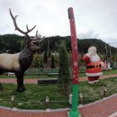 미인열차 이미지