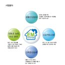 EM시스템 네이버블로그