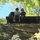 구미에코랜드생태숲 화장실 이미지