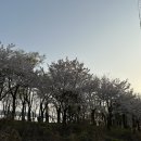 화랑공원남편 이미지
