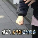 수원 샐러드 맛집 [베지잇] 방문 후기