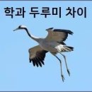 학과 두루미 차이 이미지
