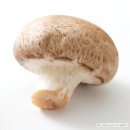 우리척병원 이미지