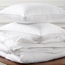 이불행사장 이미지