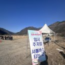 매화농업협동조합 | 2026 양산 원동 매화축제 셔틀버스 탑승 후기