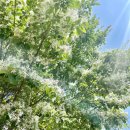 행복이꽃피는약국 이미지