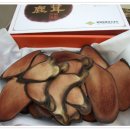 닥터정한의원 이미지