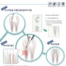 서하플란트치과