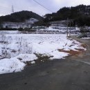 송이 부동산중개사무소 이미지
