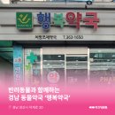 지금행복약국 이미지