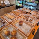 카페온다 | (내돈내산) 전남 담양 한재골 카페) '카페온다' 방문한 솔직후기!(아쉬운점 포함)