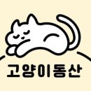 배부른고양이 이미지