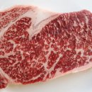강릉맛집자작나무강릉한우