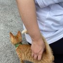 중앙소리방 이미지