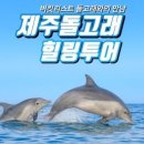제주돌고래힐링투어