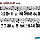 하늘보라 이미지