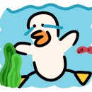 바다샌드 이미지