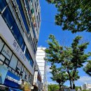 수원-1699 이미지