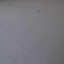 리버스텔라공인중개사사무소 이미지