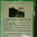 하로당