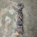 그게 그렇지 맞지?(시그널 있음) 이미지