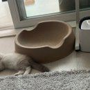 봄날동물의료센터 이미지