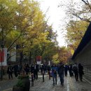 남산숲속여행길 이미지